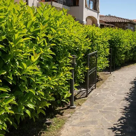 Welcomely - Il Bouquet *